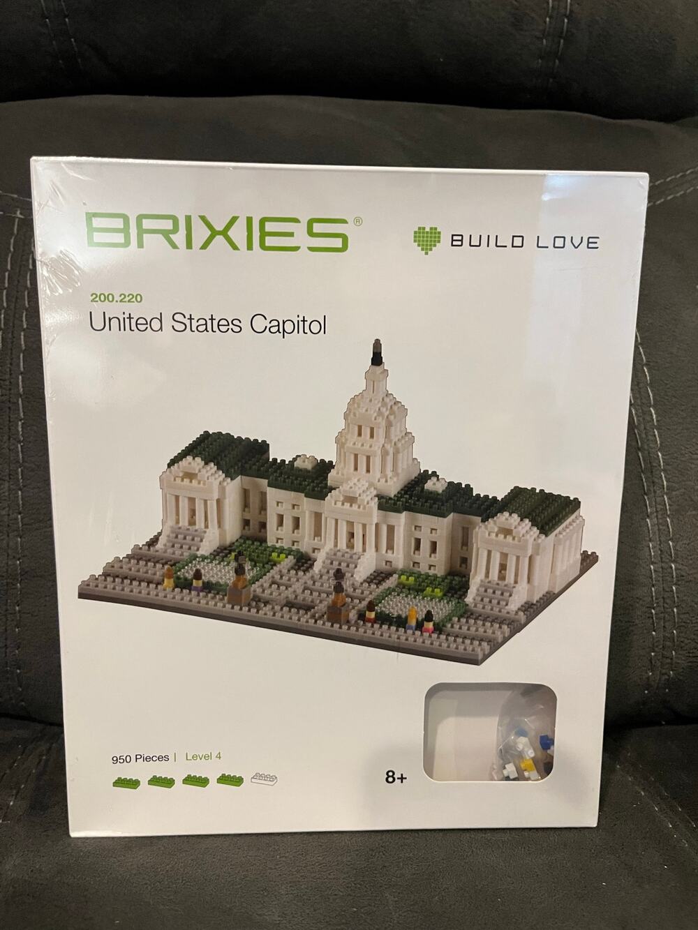Brixies US State Capitol 950 building set- NIB